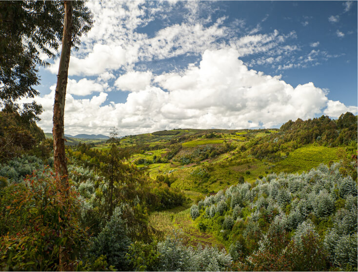 burundi-img-1