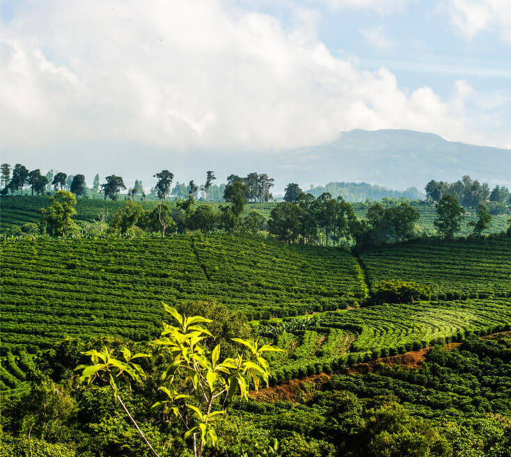 central-america-img