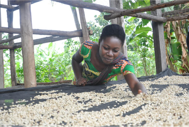 congo-img-2