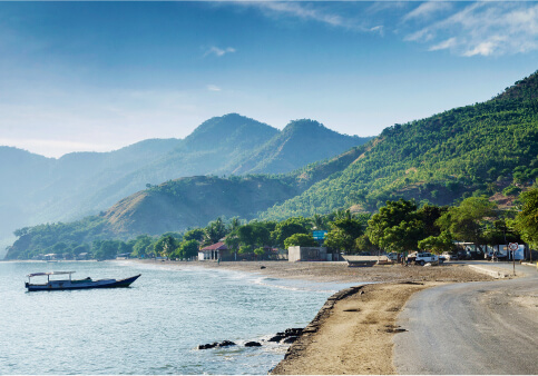 ottimor-img-2