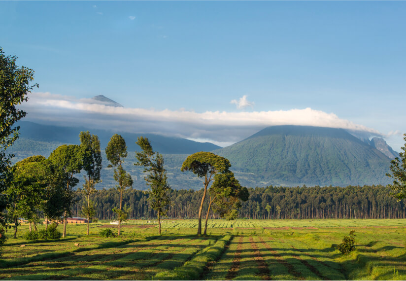 ruanda-img-1