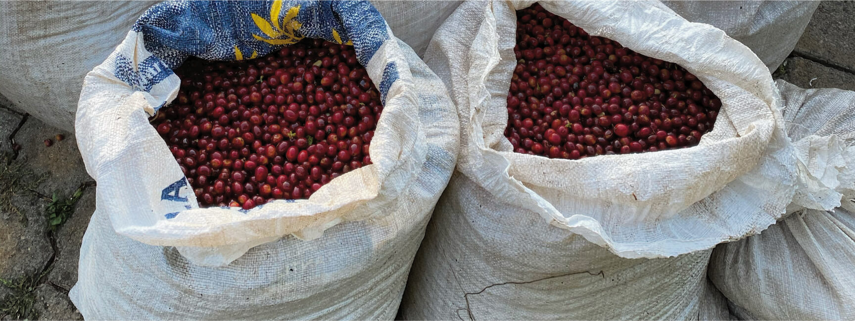 tanzania-bnr-img