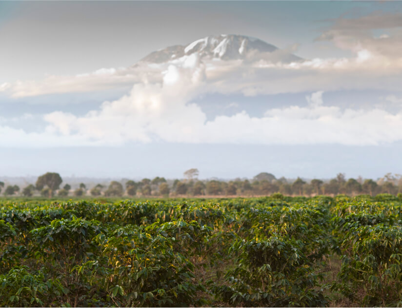 tanzania-img-1