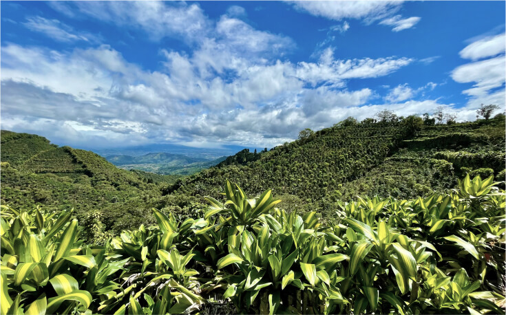 costa-rica-img-2