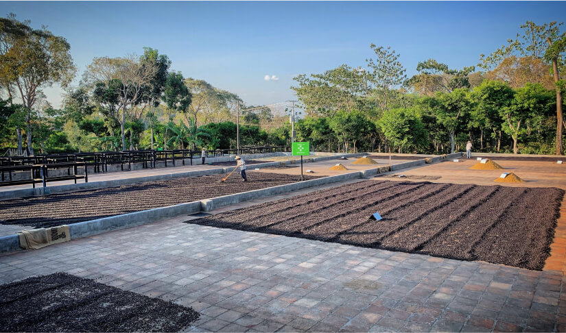 El-Salvador-img-1